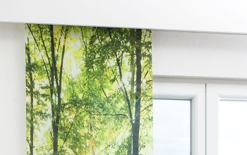 grüne Schiebegardine, grüne Schiebegardinen - online bestellen